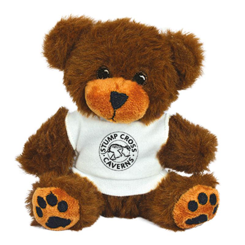 Image of 5" George Bear with T Shirt